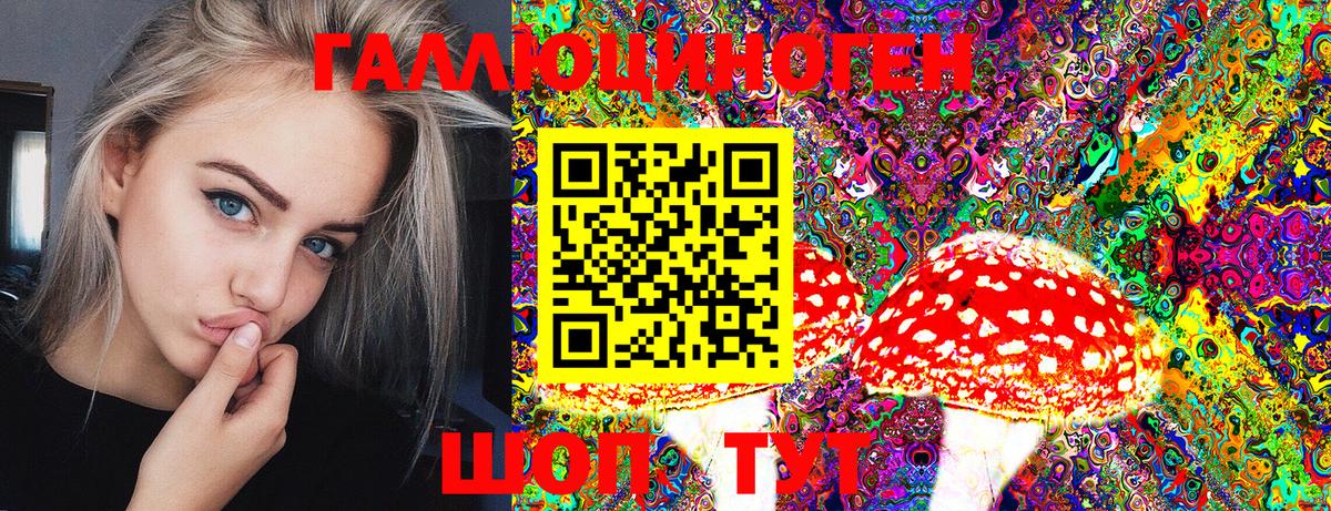 Ишим  даркнет сайт  Вход с VPN  Псилоцибиновые грибы Magic Shrooms 