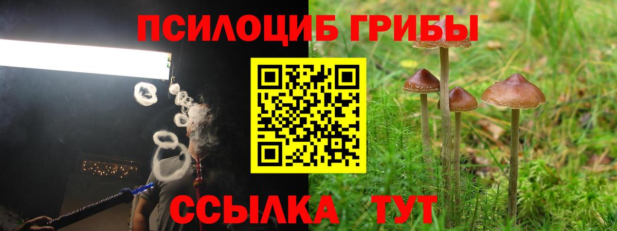 Галлюциногенные грибы Cubensis Ишим