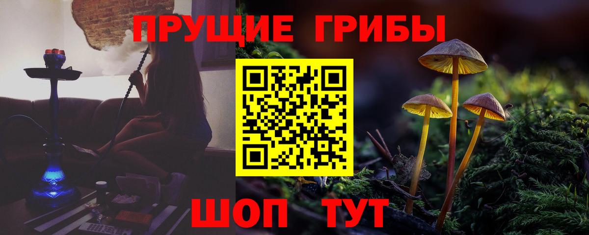 Меф   NBOMe  Ишим  ЭКСТАЗИ  Вход с VPN  МЕФ  ГАШ  КОКАИН 